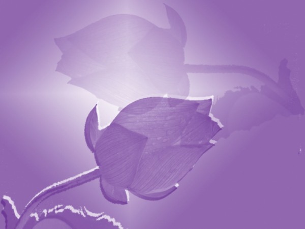 1452517128-7bb310