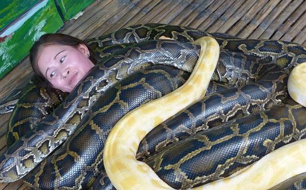 一条大蛇吃女人图片